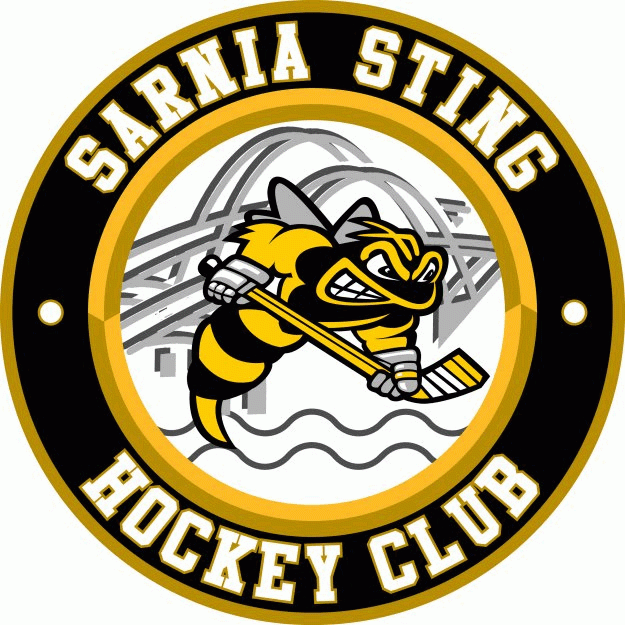 Sarnia Sting 2012 13-pres alternate logo iron on heat transfer